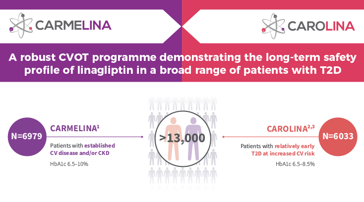 ilustration of carmelina and carolina studies